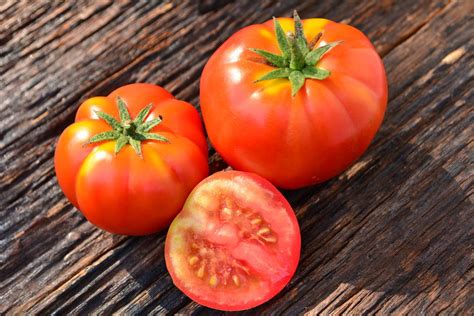 西红柿的20种最佳搭配